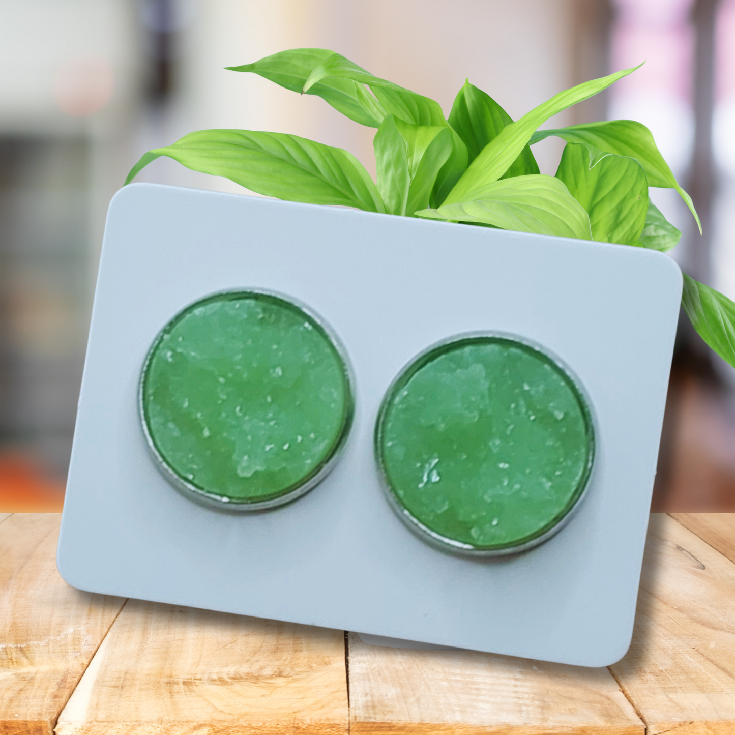 Green Druzy Style Earrings (14mm)